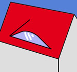 Fledermausdachgaube